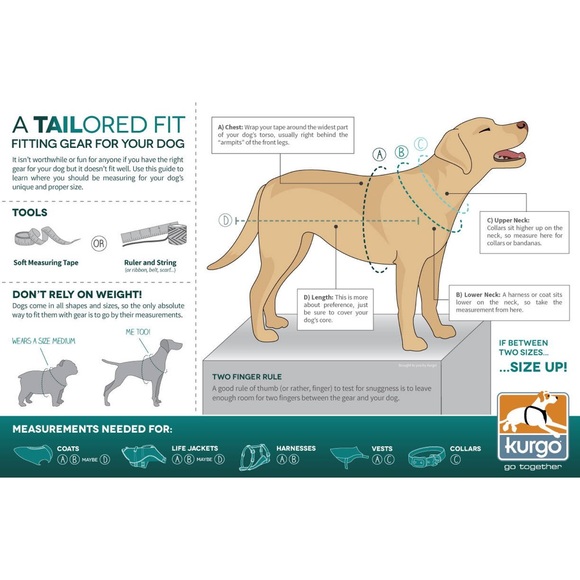 Dog Harness - Picture 4 of 8